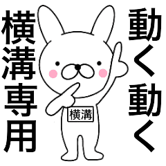Moving Rabbit Yokomizo