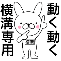 Moving Rabbit Yokomizo