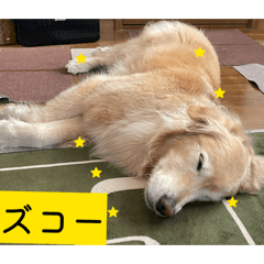 tonton_20260321224607