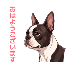 Boston Terrier LINE stickers1