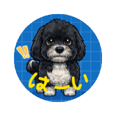 Ohana_20260322103340