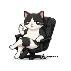 Tuxedo Cat Daily Reactions