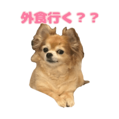 fuwafuwafuwari_20260321225304