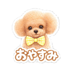 ruru&coco is toypoodles