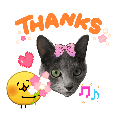 SHUNA_20260321201548