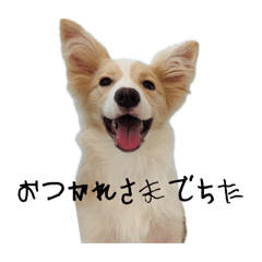 misaki_20260321202016