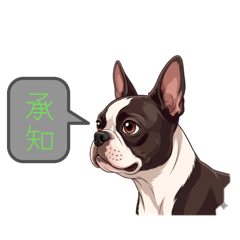 Boston Terrier LINE stickers 1977