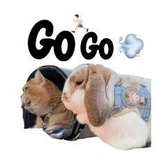 Charlotte_20260322010505