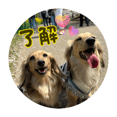 OKANONNON_20260321201745