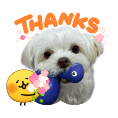 Supatchaya_20260322051537