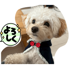 mozuku_20260321221846