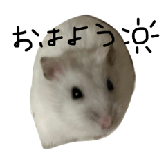 yuzuki_20260321221703