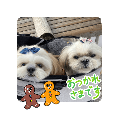 Yakko_20260321220310