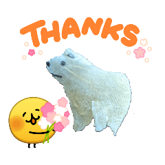 kazwry_20260321222247