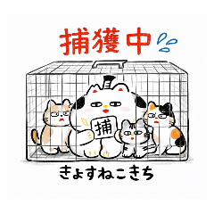 usachan_20260322002626