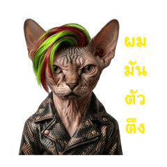 patthanan0123_20260322115435