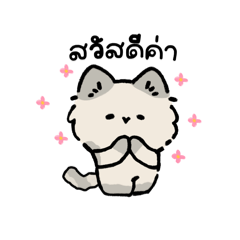 KUNTONNOWII_20260322121032