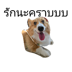 traton_20260322120000