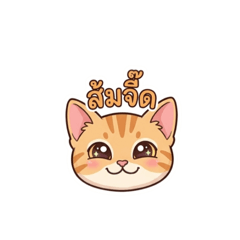 poonrin v.1_20260322121427