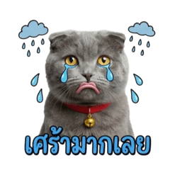 patthanan0123_20260322123039