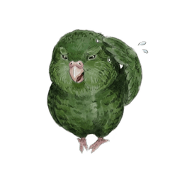 cocosupo_20260321225503