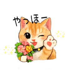 Cute Haku Cat Stickers