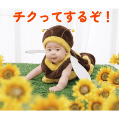 waizumi nanami_20260321230145