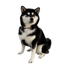 yusan_20260322011543