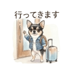 Oshi Travel Chihuahua