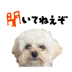 Yuukichi_20260322000145