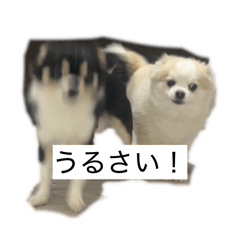 ibuki_20260319210518