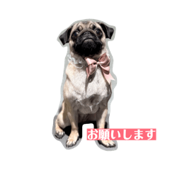 K.Masami_20260319215008