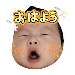 momo_20260322020414