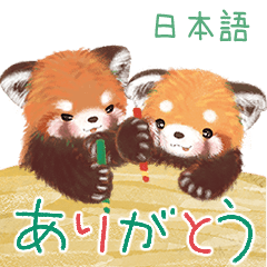 レッサーパンダ ポへ！日常  毎日使える