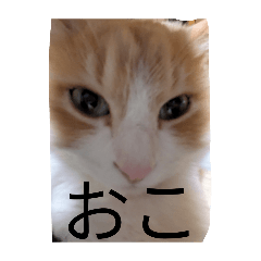 Canon_20260319233637