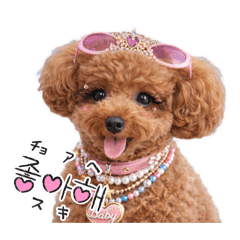 ikura_20260318215201