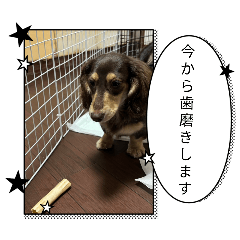 nonko_20260319010506