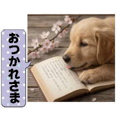 cherry blossoms and fluffy puppy