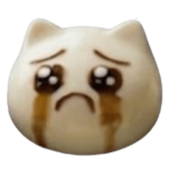 Soy sauce face tofu mental cat no letter