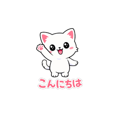 Cat Daily Stickers 40