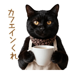 Caffeine Driven Barista Cat