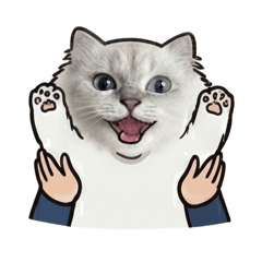 Arni&小午的人類生活