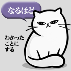 Philosophical Cat | Everyday Use