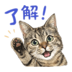 tanukichi_20260320151249