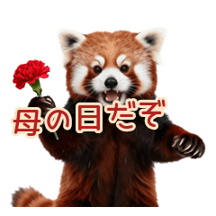 Failed Threat Red Panda for Mom