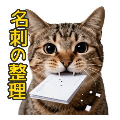 Hardworking Tabby at Midnight