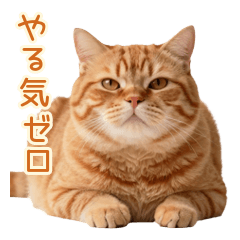 Zero Motivation Mochi Red Tabby