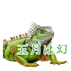 Philosophical Iguana: All is Void