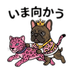 ROHAN_20260322062104