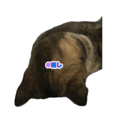 ma-ko_20260322062406